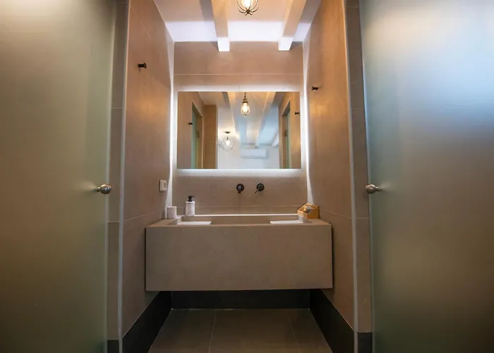 Leda Mykonos Ελιά